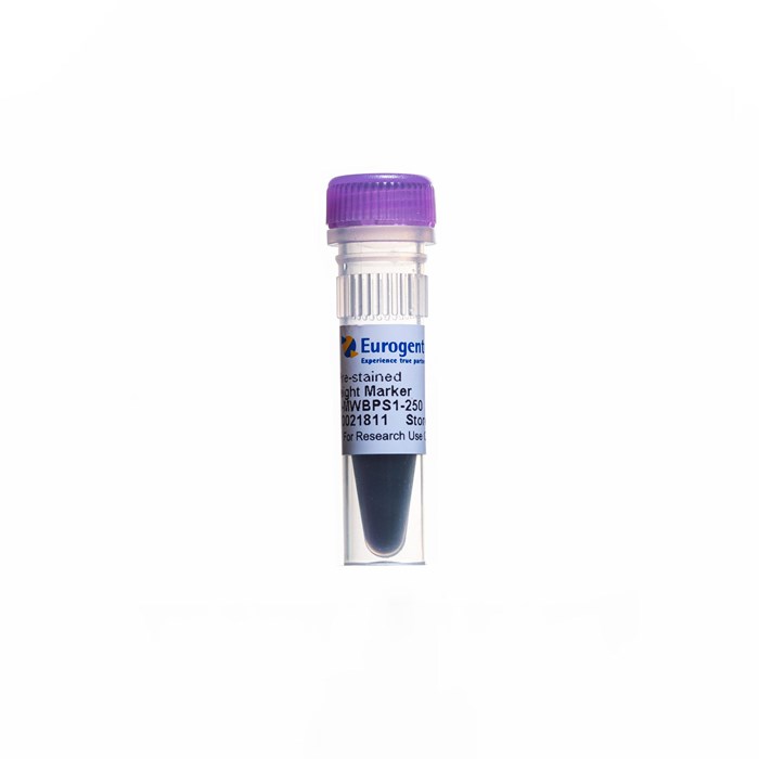 Tube of iD Broad Pre-stained Protein  Weight Marker